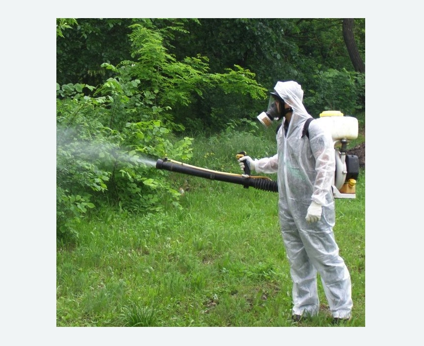 обработка дачи от клещей обработка территории от клещей в Беломорске
