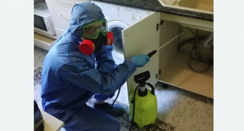 Уничтожение муравьев в квартире. Беломорск