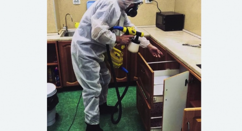 Уничтожение насекомых в квартире. Беломорск