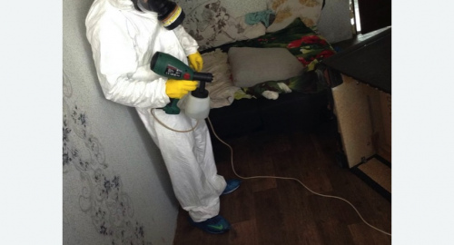 Обработка квартир от насекомых в Беломорске