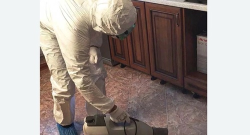 Уничтожение тараканов в квартире. Беломорск