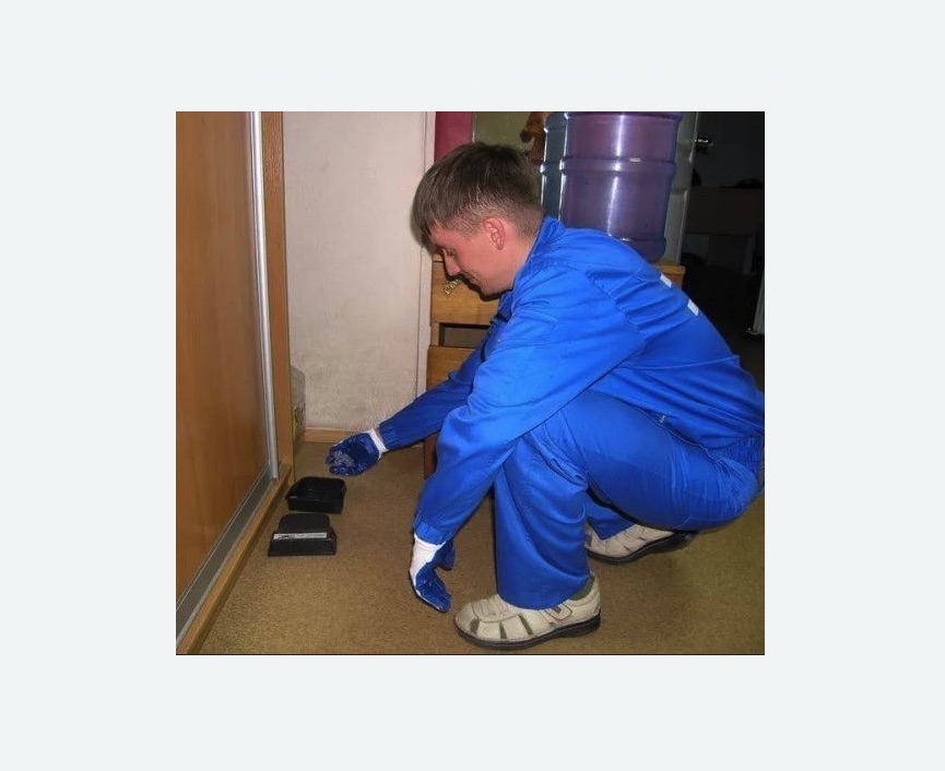 Дератизация крыс в Беломорске