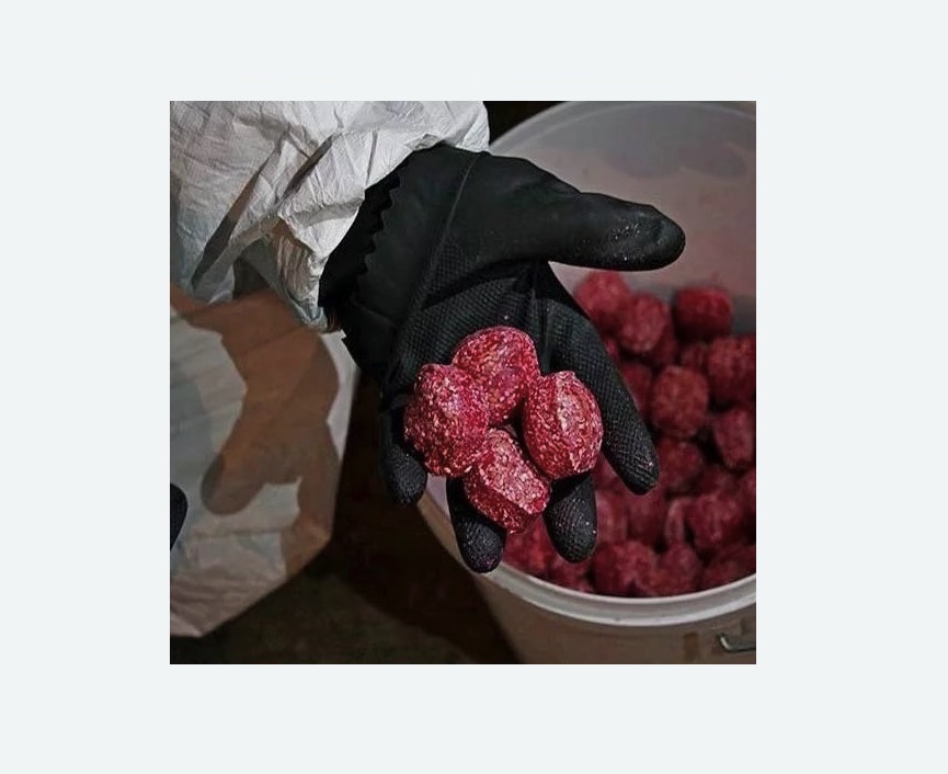 Обработка от крыс в Беломорске