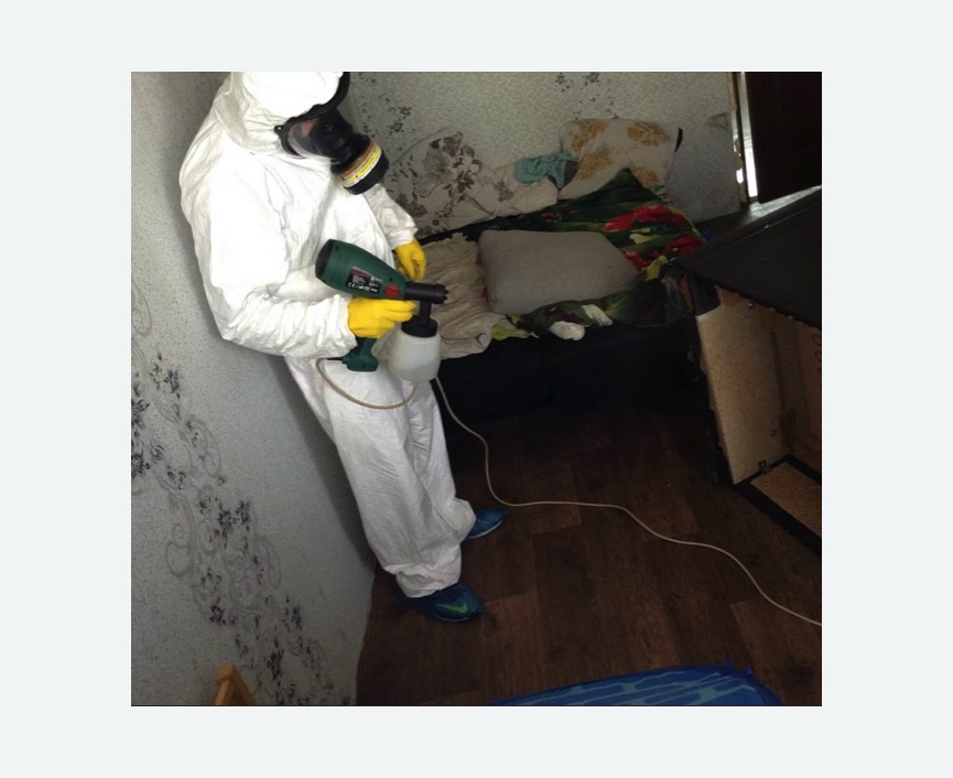Обработка от насекомых в Беломорске Обработка квартиры от насекомых