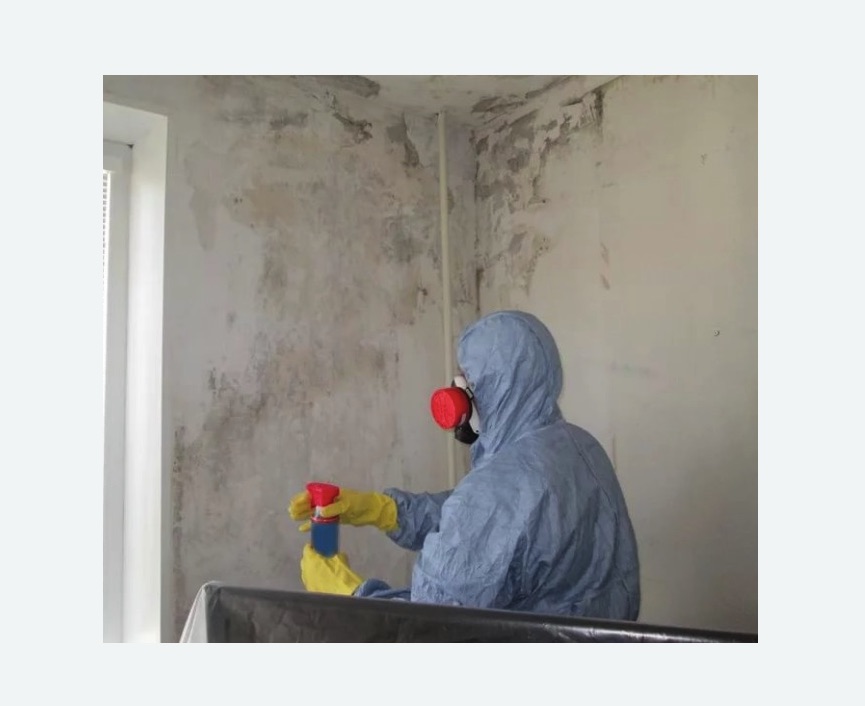 Удаление плесени в квартире в Беломорске