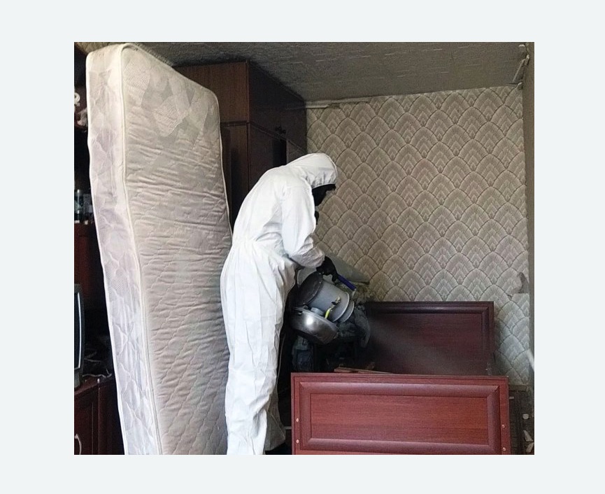 дезинфекция от клопов в Беломорске