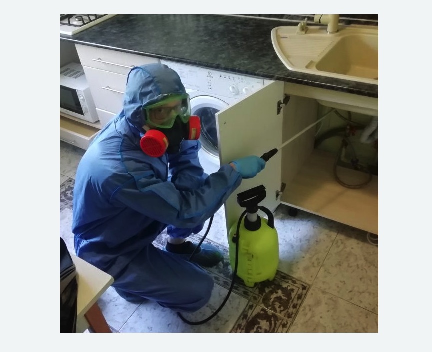 обработка от муравьев в квартире в Беломорске