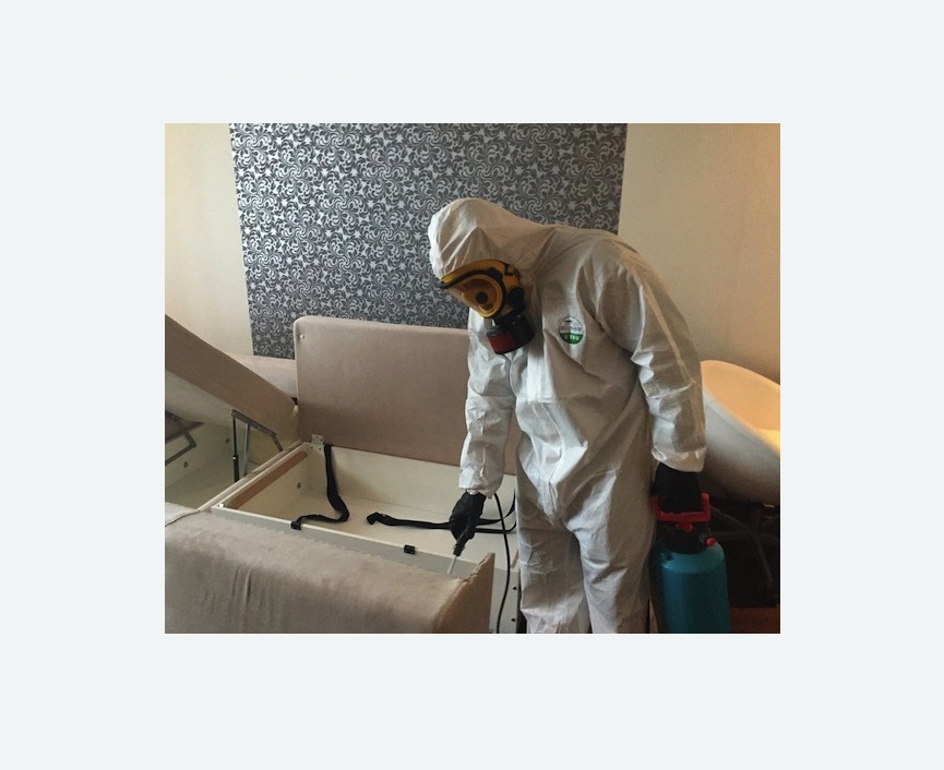 уничтожение клопов в квартире в Беломорске