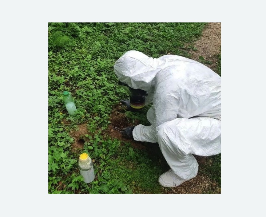 уничтожение кротов на участке в Беломорске