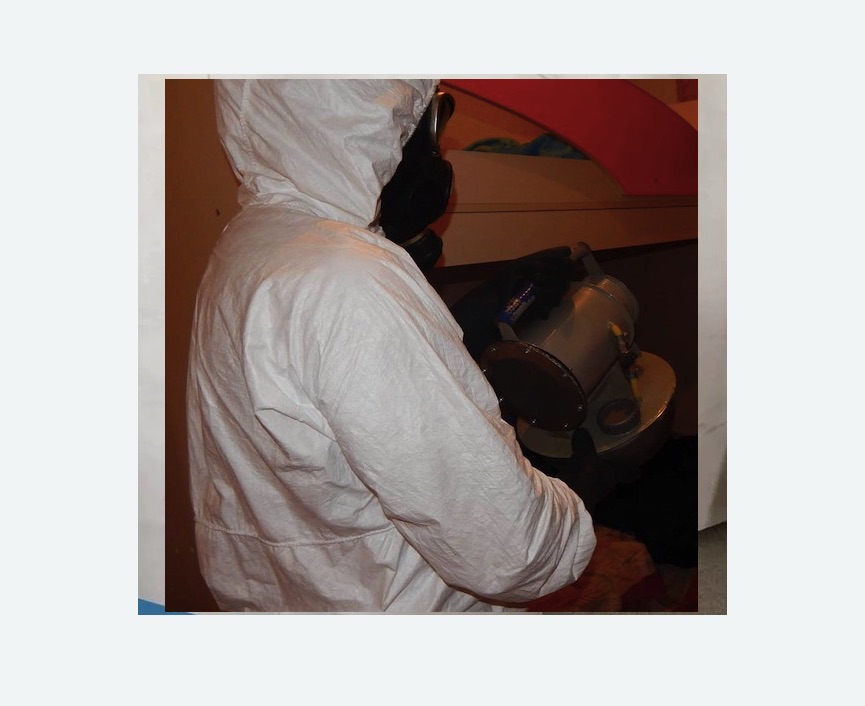 Дезинфекция от муравьев в Беломорске