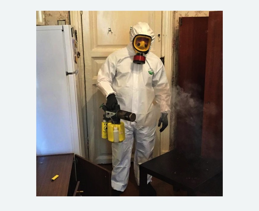 уничтожение муравьев в квартире в Беломорске